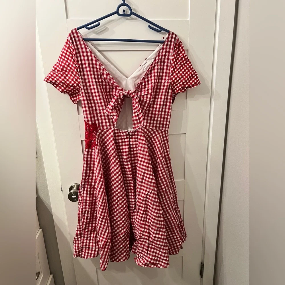 Red Gingham Dress with Lace Accents - Picture 3 of 5